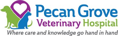 Pecan Grove Veterinary Hospital — Where care and knowledge go hand in hand